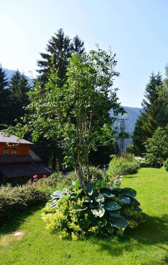 Die KALSBERGERin Ferienwohnung für Genießer Donnersbachwald Exterior foto
